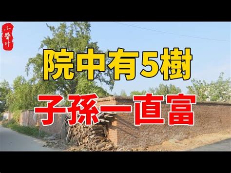 陽樹種類|庭院樹木選擇指南